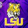 LSU Tigers Logo Football paint by numbers