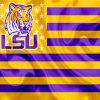 LSU Tigers Flag paint by numbers