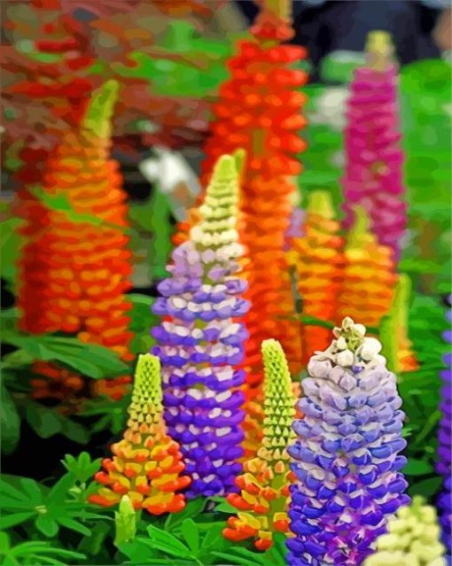 Colorful Lupins paint by numbers