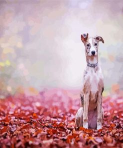 Lurcher Puppy Dog paint by numbers