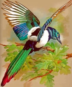 Aesthetic Magpie Bird paint by numbers