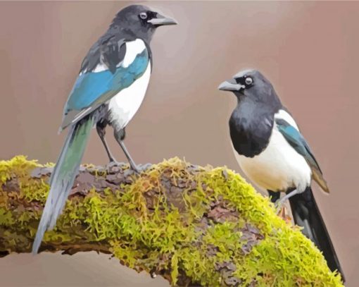 Magpies On Branch paint by numbers