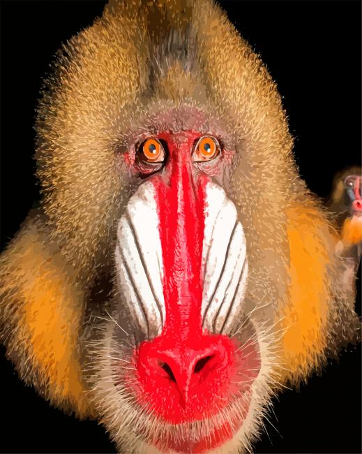 monkey face paint