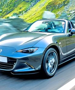 Mazda Mx5 Car paint by numbers