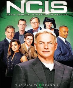 NCIS Poster paint by numbers