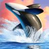 Orca Art paint by numbers