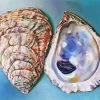 Oyster Shells paint by numbers