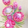 Pink Protea Plant Art paint by numbers