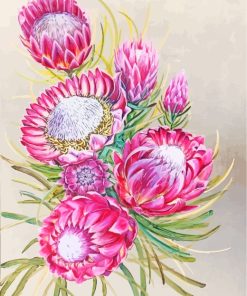 Pink Protea Plant Art paint by numbers