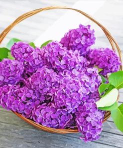 Purple Hydrangea Basket paint by numbers