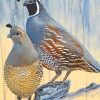 Aesthetic Quail Birds paint by numbers