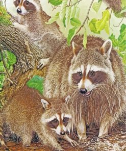 Raccoon Family paint by numbers