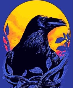 Raven Bird Illustration paint by numbers