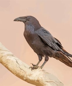 Black Raven On Branch paint by numbers