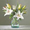 Still Life White Lilies paint by numbers