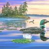 Sunset Loon Bird paint by numbers