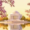 Thomas Jefferson Memorial Blossom paint by numbers