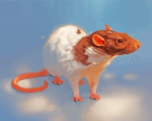 Brown White Rat paint by numbers
