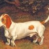White Brown Dachshund paint by numbers