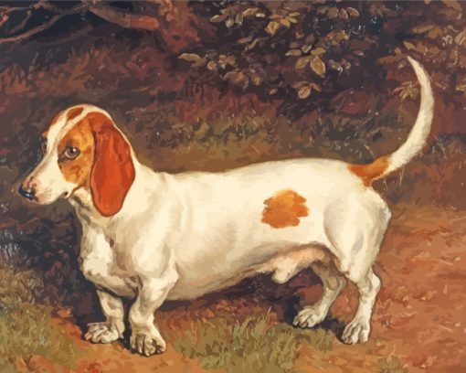 White Brown Dachshund paint by numbers
