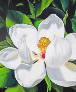 White Magnolia Art paint by numbers