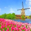 Windmills And Pink Flowers paint by numbers