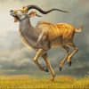 Beautiful Kudu Animal paint by numbers