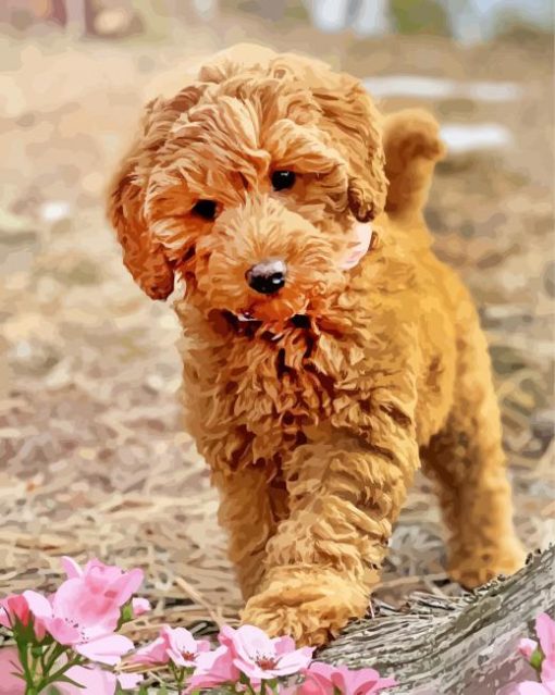 Aesthetic Labradoodle paint by numberrs