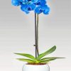 Blue Orchid Flower paint by numbers
