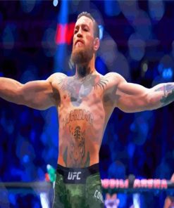Champion Conor Mcgregor paint by numbers