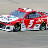 Red and White Nascar paint by numbers