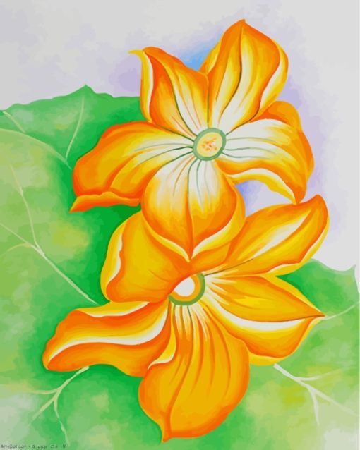 Georgia O'Keeffe Squash Blossoms paint by numbers