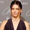 The Model Kendall Jenner paint by numbers