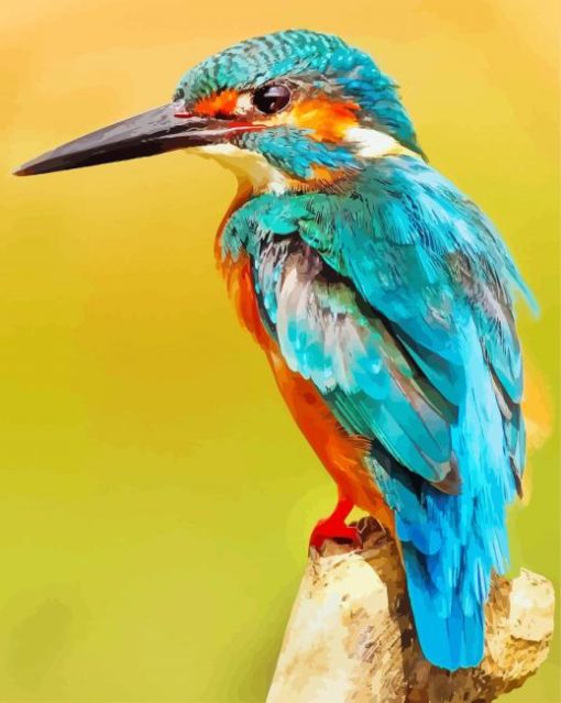 Beautiful Bird Kingfisher paint by numbers