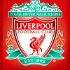 Liverpool Football Club paint by numbers