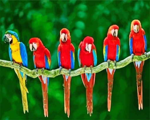 Aesthetic Macaw Birds paint by numbers