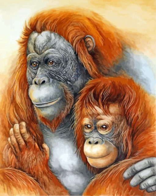 Orangutans Couple paint by numbers