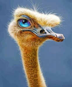 Ostrich With Blue Eyes Paint by numbers