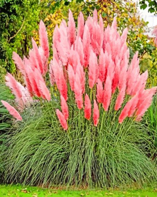 Pink Pampas Flowers paint by numbers