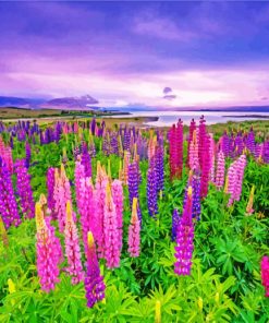 Purple And Pink Lupins Plants paint by numbers
