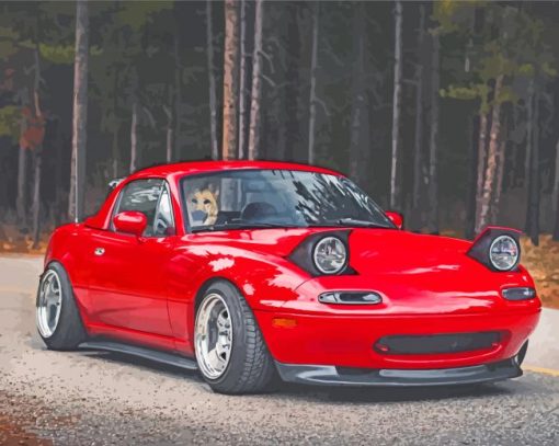 Red Miata Car paint by numbers