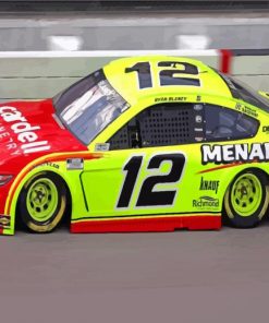 Red And Yellow Car Nascar paint by numbers