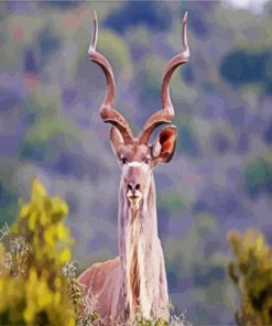 The Greater Kudu paint by numbers