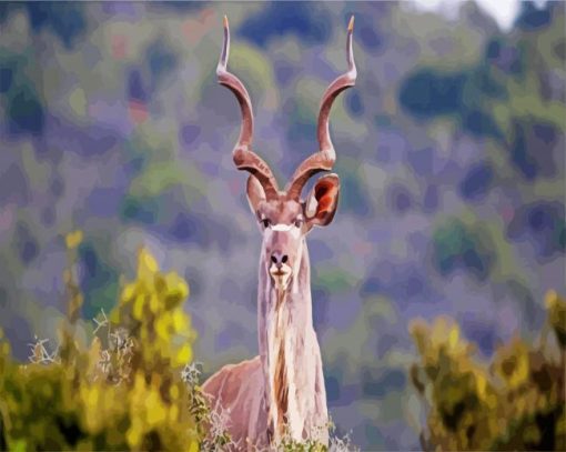 The Greater Kudu paint by numbers