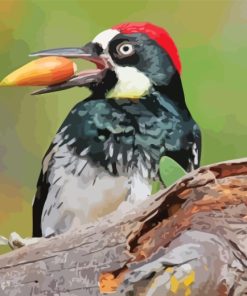 Aesthetic Acorn Woodpecker paint by numbers