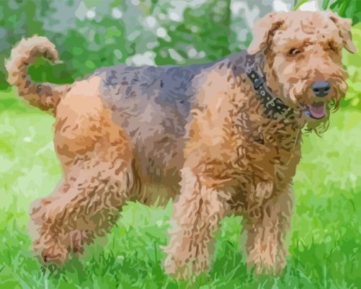 Cute Airedale Dog paint by numbers
