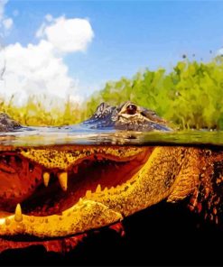 Alligator In The Everglades paint by numbers