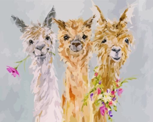Alpacas Animal Art paint by numbers