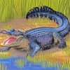 American Alligator Reptile paint by numbers