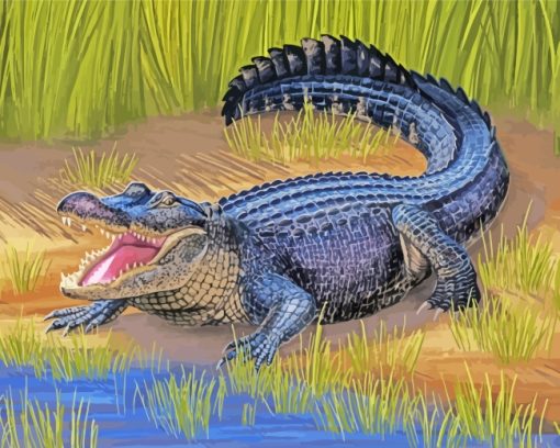 American Alligator Reptile paint by numbers